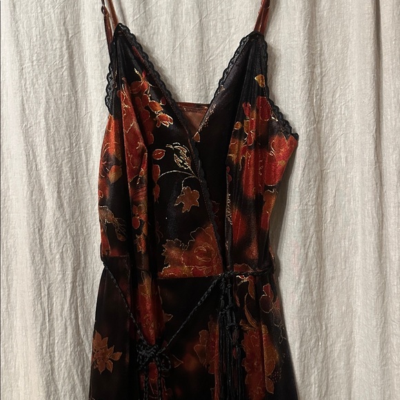 Velvet Dress - Picture 2 of 6